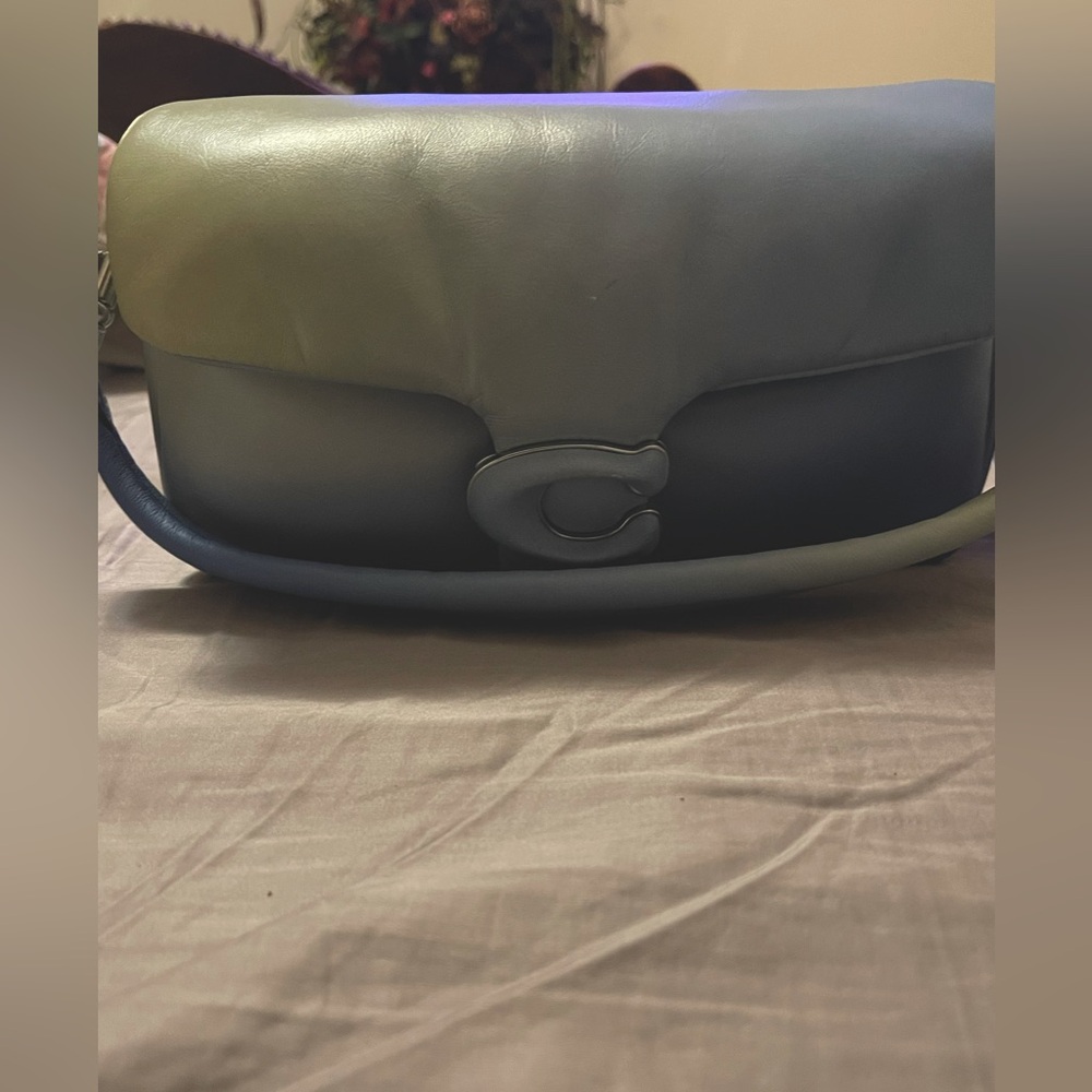 Coach Pillow Tabby 26